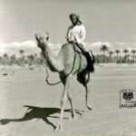 واحة البريمي 1961م